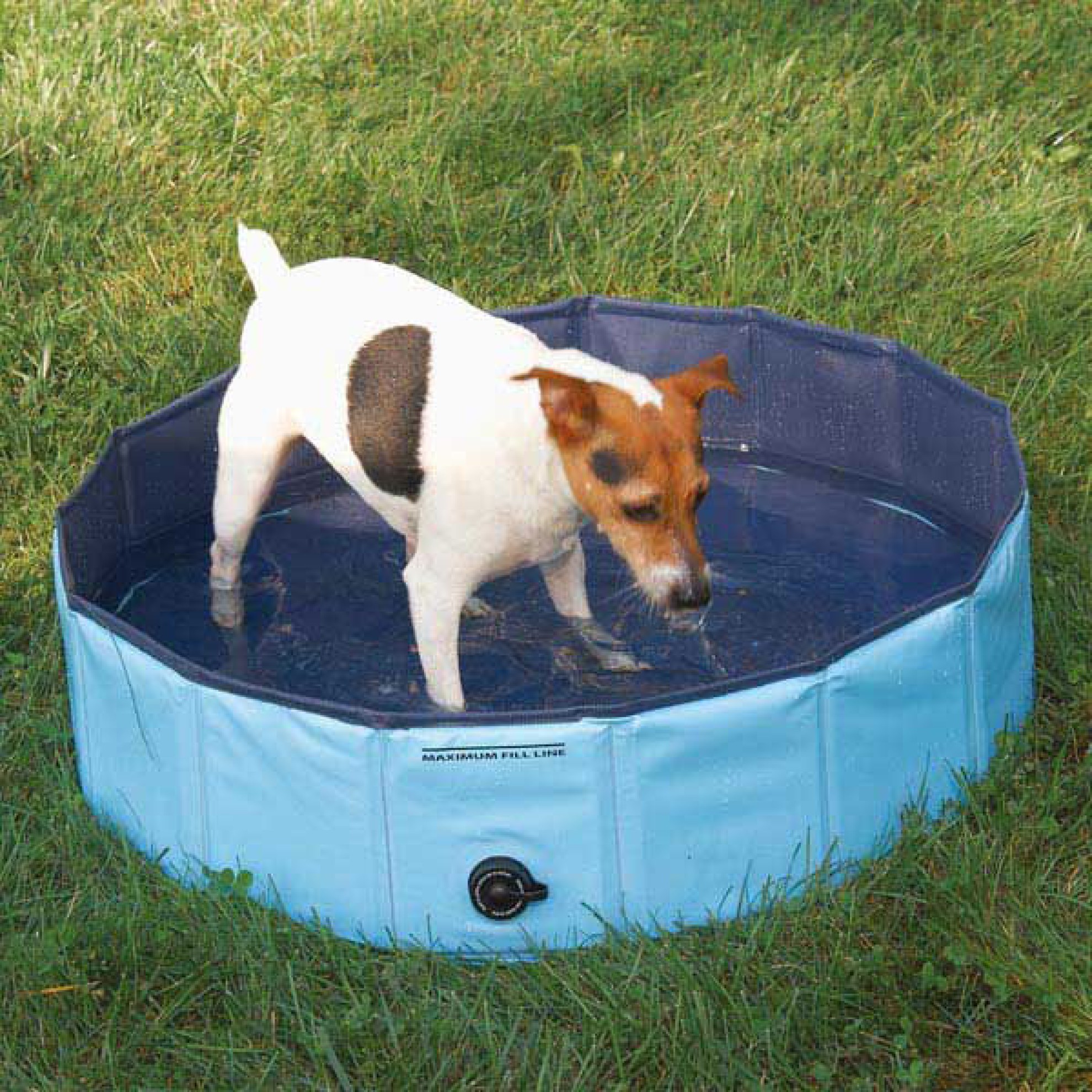 HundePool in 3 Grössen, Hundepool XXL, HundeSchwimmbad, Pool gross