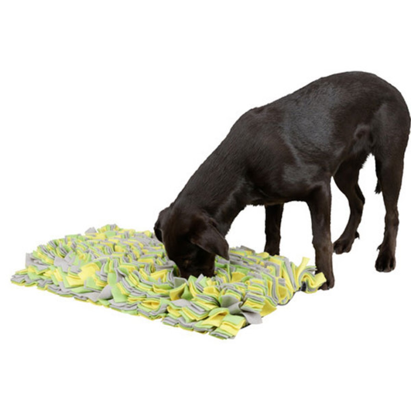 Schnüffelteppich, Schnüffeldecke für Hunde in zwei Grössen online kaufen