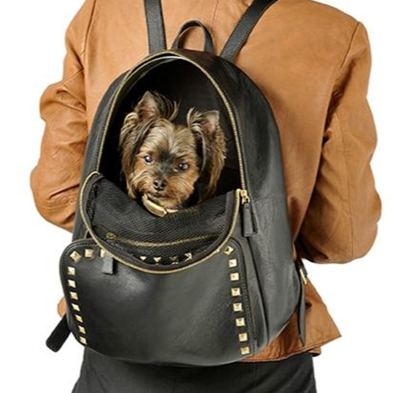 KINGGOS DesignerRucksack aus Leder für Hunde DALIA online kaufen
