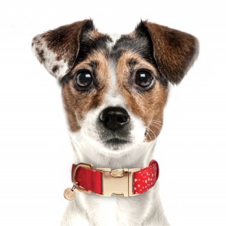 Luxus Hundehalsband aus Leder Snake Deluxe, Luxus Hundehalsband, Exklusive Hundehalsbänder